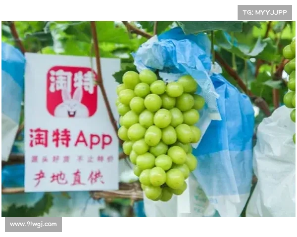 意甲今日动态：加图索谈世界杯晋级形势 尤文欲挖米兰队长引发关注